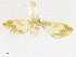  ( - CBG-A16704-G01)  @11 [ ] CreativeCommons - Attribution Share - Alike (2023) CBG Photography Group Centre for Biodiversity Genomics
