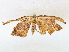  ( - CBG-A16704-G12)  @11 [ ] CreativeCommons - Attribution Share - Alike (2023) CBG Photography Group Centre for Biodiversity Genomics