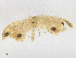  ( - CBG-A21615-F03)  @11 [ ] CreativeCommons - Attribution Share - Alike (2023) CBG Photography Group Centre for Biodiversity Genomics