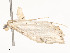  ( - CBG-A51932-F03)  @11 [ ] CreativeCommons - Attribution Share - Alike (2024) CBG Photography Group Centre for Biodiversity Genomics