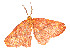  ( - CBG-A51933-E07)  @11 [ ] CreativeCommons - Attribution Share - Alike (2024) CBG Photography Group Centre for Biodiversity Genomics
