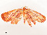  ( - CBG-A51933-F10)  @11 [ ] CreativeCommons - Attribution Share - Alike (2024) CBG Photography Group Centre for Biodiversity Genomics