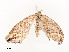  ( - CBG-A53666-B11)  @11 [ ] CreativeCommons - Attribution Share - Alike (2024) CBG Photography Group Centre for Biodiversity Genomics