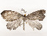  ( - CBG-A53666-D03)  @11 [ ] CreativeCommons - Attribution Share - Alike (2024) CBG Photography Group Centre for Biodiversity Genomics