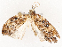  ( - CBG-A53667-A04)  @11 [ ] CreativeCommons - Attribution Share - Alike (2024) CBG Photography Group Centre for Biodiversity Genomics