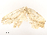  ( - CBG-A53667-A06)  @11 [ ] CreativeCommons - Attribution Share - Alike (2024) CBG Photography Group Centre for Biodiversity Genomics