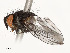  ( - CBG-A53668-A09)  @11 [ ] CreativeCommons - Attribution Share - Alike (2024) CBG Photography Group Centre for Biodiversity Genomics