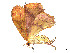  ( - CBG-A53668-D07)  @11 [ ] CreativeCommons - Attribution (2024) CBG Photography Group Centre for Biodiversity Genomics