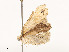 ( - CBG-A53668-F09)  @11 [ ] CreativeCommons - Attribution Share - Alike (2024) CBG Photography Group Centre for Biodiversity Genomics