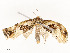  ( - CBG-A53668-G02)  @11 [ ] CreativeCommons - Attribution Share - Alike (2024) CBG Photography Group Centre for Biodiversity Genomics