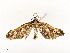  ( - CBG-A54465-A09)  @11 [ ] CreativeCommons - Attribution Share - Alike (2024) CBG Photography Group Centre for Biodiversity Genomics