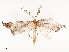  ( - CBG-A54466-D01)  @11 [ ] CreativeCommons - Attribution Share - Alike (2024) CBG Photography Group Centre for Biodiversity Genomics