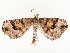  ( - CBG-A54466-D02)  @11 [ ] CreativeCommons - Attribution Share - Alike (2024) CBG Photography Group Centre for Biodiversity Genomics