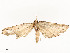  ( - CBG-A54466-D03)  @11 [ ] CreativeCommons - Attribution Share - Alike (2024) CBG Photography Group Centre for Biodiversity Genomics