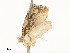  ( - CBG-A51934-E08)  @11 [ ] CreativeCommons - Attribution Share - Alike (2024) CBG Photography Group Centre for Biodiversity Genomics