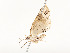  ( - CBG-A51934-E12)  @11 [ ] CreativeCommons - Attribution Share - Alike (2024) CBG Photography Group Centre for Biodiversity Genomics