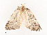  ( - CBG-A51935-C02)  @11 [ ] CreativeCommons - Attribution Share - Alike (2024) CBG Photography Group Centre for Biodiversity Genomics