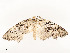  ( - CBG-A51935-D07)  @11 [ ] CreativeCommons - Attribution Share - Alike (2024) CBG Photography Group Centre for Biodiversity Genomics