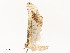  ( - CBG-A51936-B04)  @11 [ ] CreativeCommons - Attribution Share - Alike (2024) CBG Photography Group Centre for Biodiversity Genomics