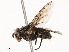  ( - CBG-A51936-D10)  @11 [ ] CreativeCommons - Attribution Share - Alike (2024) CBG Photography Group Centre for Biodiversity Genomics