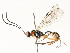  ( - CBG-A51936-E12)  @11 [ ] CreativeCommons - Attribution Share - Alike (2024) CBG Photography Group Centre for Biodiversity Genomics