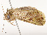  ( - CBG-A51936-F07)  @11 [ ] CreativeCommons - Attribution Share - Alike (2024) CBG Photography Group Centre for Biodiversity Genomics