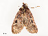  ( - CBG-A51965-E02)  @11 [ ] CreativeCommons - Attribution Share - Alike (2024) CBG Photography Group Centre for Biodiversity Genomics