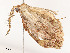 ( - CBG-A51965-F05)  @11 [ ] CreativeCommons - Attribution Share - Alike (2024) CBG Photography Group Centre for Biodiversity Genomics