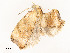 ( - CBG-A51965-F08)  @11 [ ] CreativeCommons - Attribution Share - Alike (2024) CBG Photography Group Centre for Biodiversity Genomics