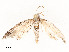  ( - CBG-A51965-G10)  @11 [ ] CreativeCommons - Attribution Share - Alike (2024) CBG Photography Group Centre for Biodiversity Genomics