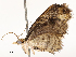  ( - CBG-A51966-E07)  @11 [ ] CreativeCommons - Attribution Share - Alike (2024) CBG Photography Group Centre for Biodiversity Genomics