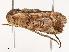  ( - CBG-A51967-A05)  @11 [ ] CreativeCommons - Attribution Share - Alike (2024) CBG Photography Group Centre for Biodiversity Genomics