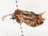  ( - CBG-A51967-A10)  @11 [ ] CreativeCommons - Attribution Share - Alike (2024) CBG Photography Group Centre for Biodiversity Genomics