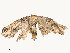  ( - CBG-A51967-B03)  @11 [ ] CreativeCommons - Attribution Share - Alike (2024) CBG Photography Group Centre for Biodiversity Genomics