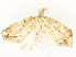  ( - CBG-A51967-C10)  @11 [ ] CreativeCommons - Attribution Share - Alike (2024) CBG Photography Group Centre for Biodiversity Genomics