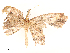  ( - CBG-A53667-F10)  @11 [ ] CreativeCommons - Attribution Share - Alike (2024) CBG Photography Group Centre for Biodiversity Genomics