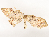  ( - CBG-A54469-A07)  @11 [ ] CreativeCommons - Attribution Share - Alike (2024) CBG Photography Group Centre for Biodiversity Genomics