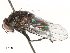  ( - CBG-A54469-D07)  @11 [ ] CreativeCommons - Attribution Share - Alike (2024) CBG Photography Group Centre for Biodiversity Genomics