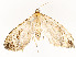  ( - CBG-A54471-B03)  @11 [ ] CreativeCommons - Attribution Share - Alike (2024) CBG Photography Group Centre for Biodiversity Genomics