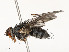  ( - CBG-A54472-A08)  @11 [ ] CreativeCommons - Attribution Share - Alike (2024) CBG Photography Group Centre for Biodiversity Genomics