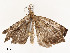  ( - CBG-A54489-A10)  @11 [ ] CreativeCommons - Attribution Share - Alike (2024) CBG Photography Group Centre for Biodiversity Genomics