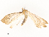  ( - CBG-A54490-G07)  @11 [ ] CreativeCommons - Attribution Share - Alike (2024) CBG Photography Group Centre for Biodiversity Genomics
