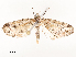  ( - CBG-A54491-D02)  @11 [ ] CreativeCommons - Attribution Share - Alike (2024) CBG Photography Group Centre for Biodiversity Genomics