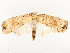  ( - CBG-A54492-B02)  @11 [ ] CreativeCommons - Attribution Share - Alike (2024) CBG Photography Group Centre for Biodiversity Genomics