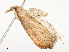  ( - CBG-A54492-C06)  @11 [ ] CreativeCommons - Attribution Share - Alike (2024) CBG Photography Group Centre for Biodiversity Genomics
