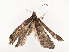  ( - CBG-A54492-C07)  @11 [ ] CreativeCommons - Attribution Share - Alike (2024) CBG Photography Group Centre for Biodiversity Genomics