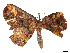  ( - CBG-A54492-C10)  @11 [ ] CreativeCommons - Attribution (2024) CBG Photography Group Centre for Biodiversity Genomics