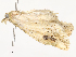  ( - CBG-A58561-A11)  @11 [ ] CreativeCommons - Attribution Share - Alike (2024) CBG Photography Group Centre for Biodiversity Genomics