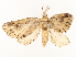  ( - CBG-A58561-E09)  @11 [ ] CreativeCommons - Attribution Share - Alike (2024) CBG Photography Group Centre for Biodiversity Genomics