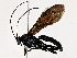 ( - BIOUG62729-H04)  @11 [ ] CreativeCommons - Attribution (2022) CBG Photography Group Centre for Biodiversity Genomics